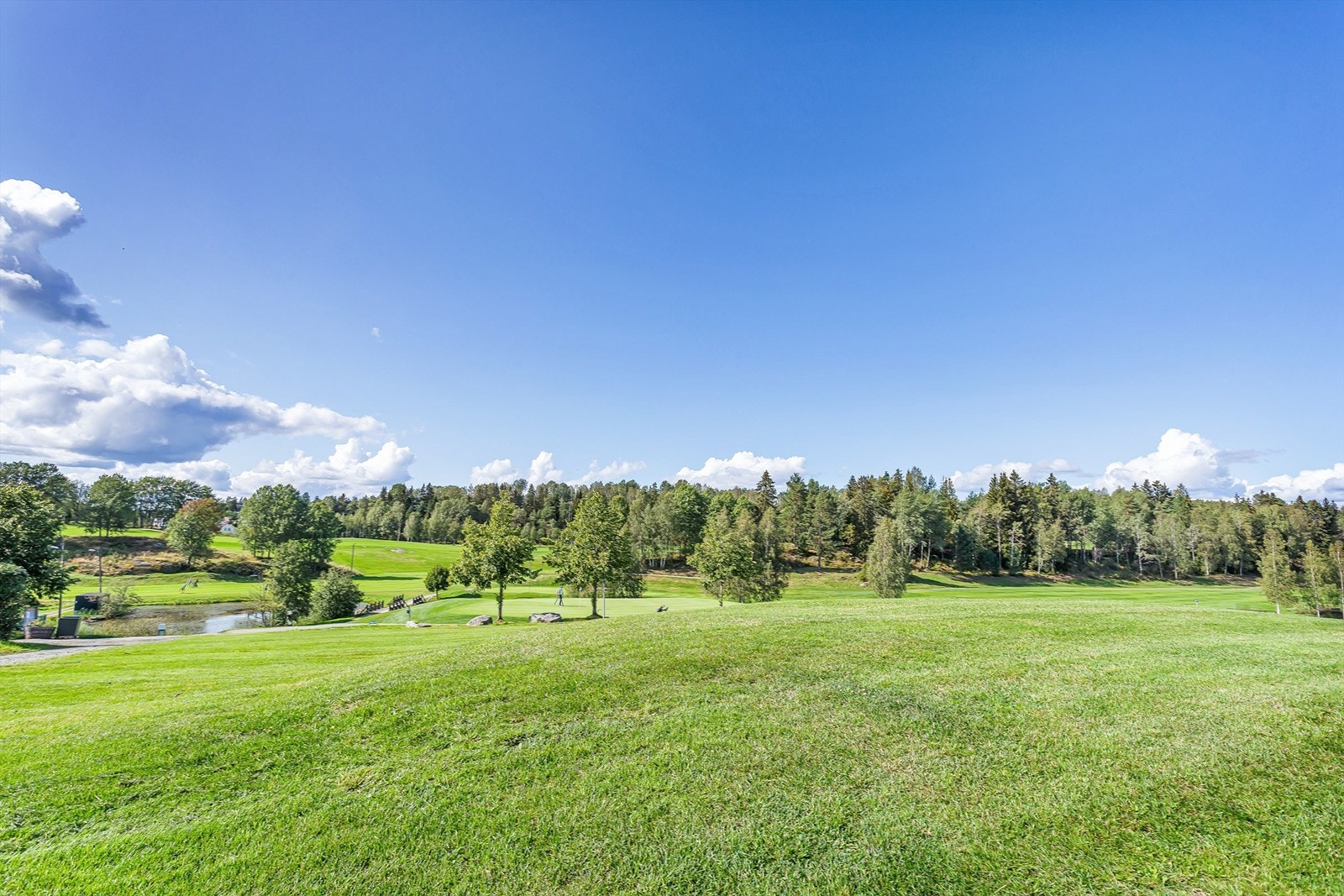 Område - Golfbane Galleribilde