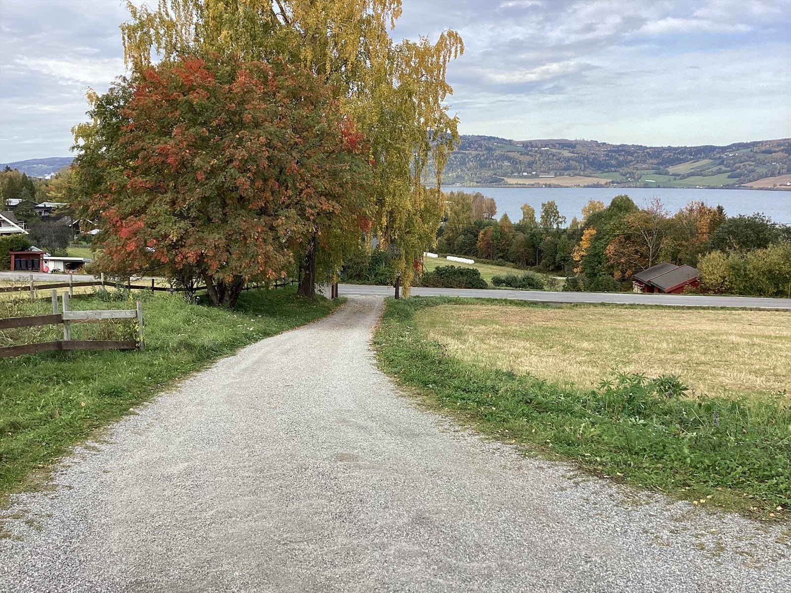 Selgers egne bilder. Galleribilde