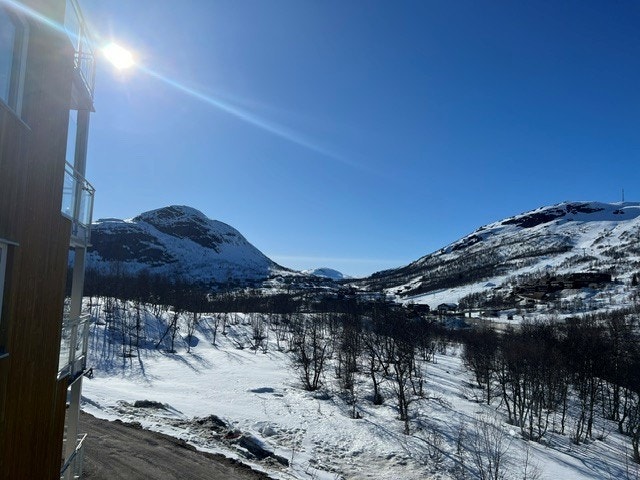 01Fasade_65.jpg Galleribilde