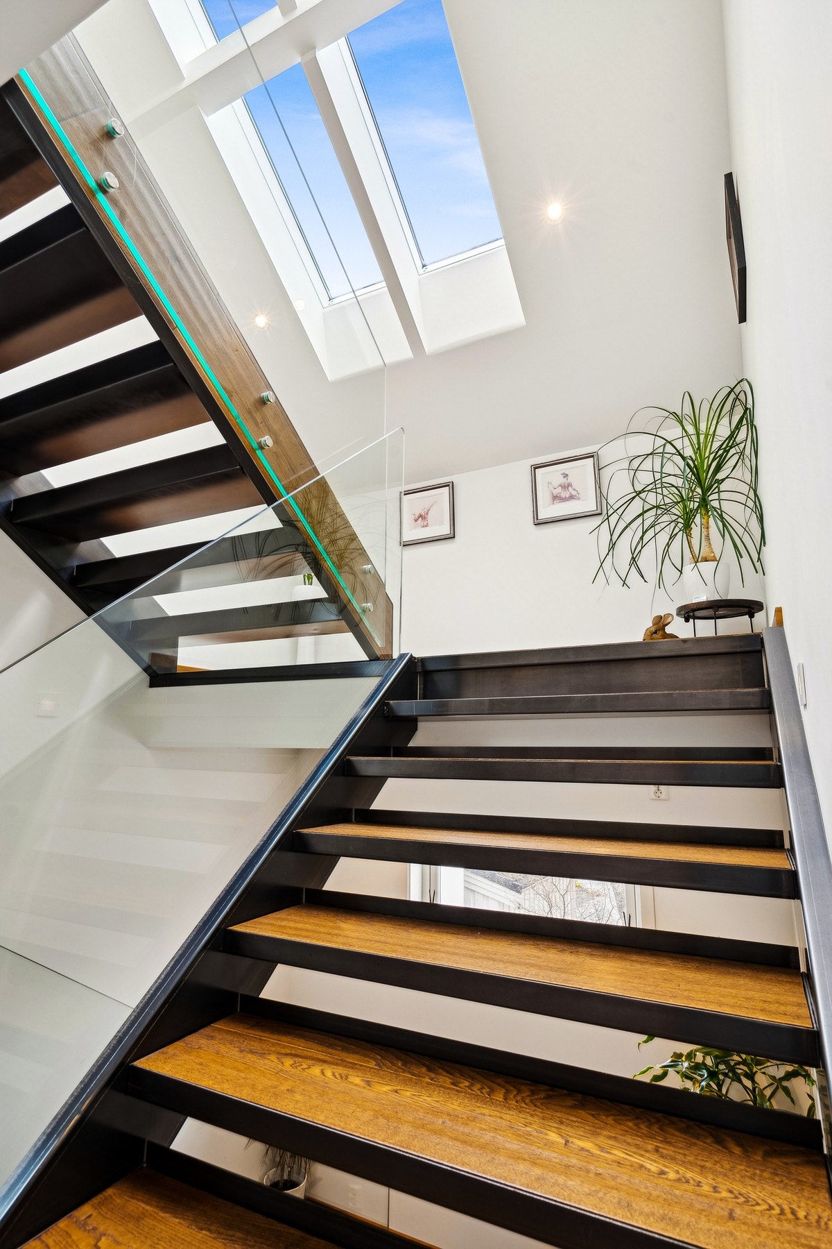 Trappeløp Galleribilde