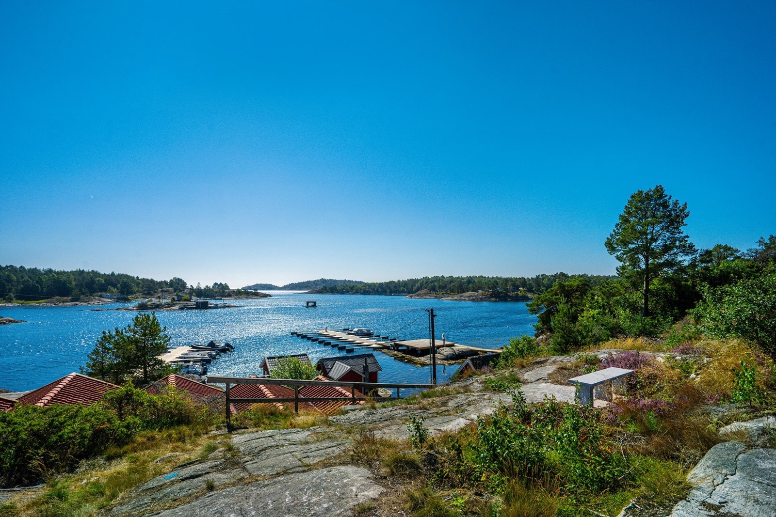 Felles området Galleribilde