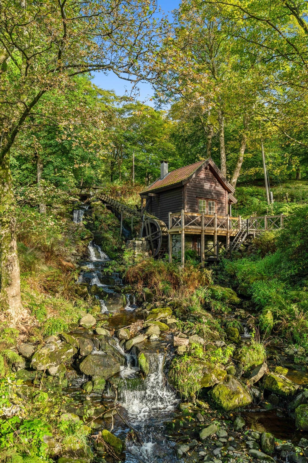 Christieparken Galleribilde