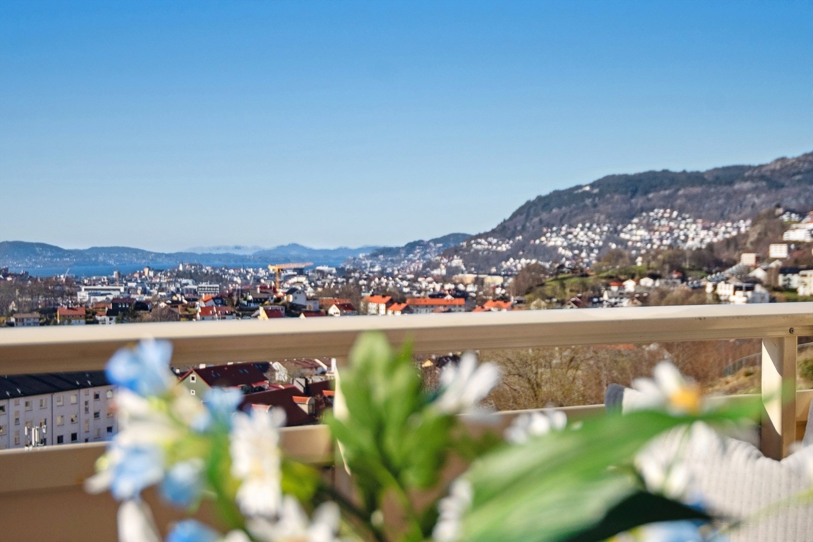 Utsikt mot Bergen sentrum Galleribilde