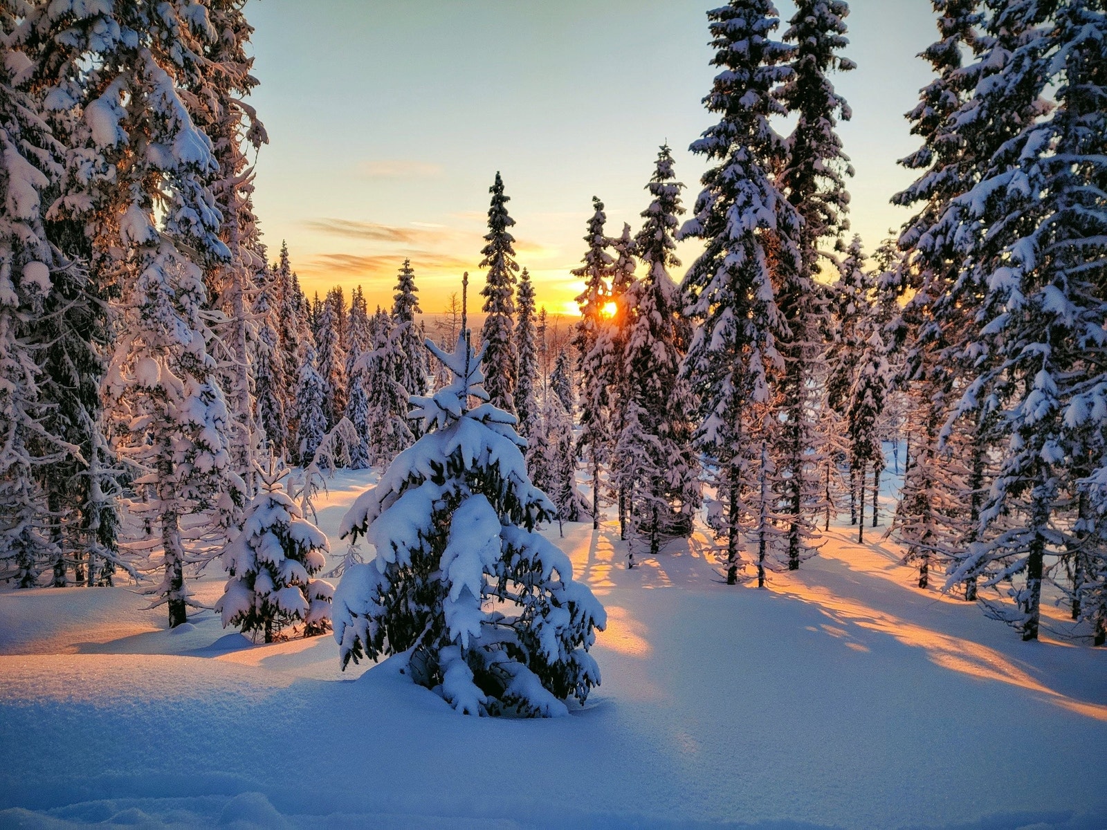 Kveldsbilde tatt fra skisporet rett ved hytta. Galleribilde
