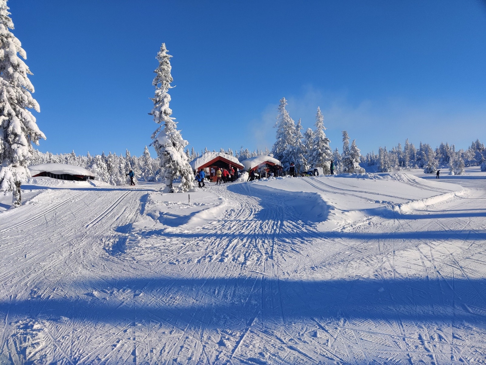Midtfjellkoia, en populær destinasjon for turgåere Galleribilde