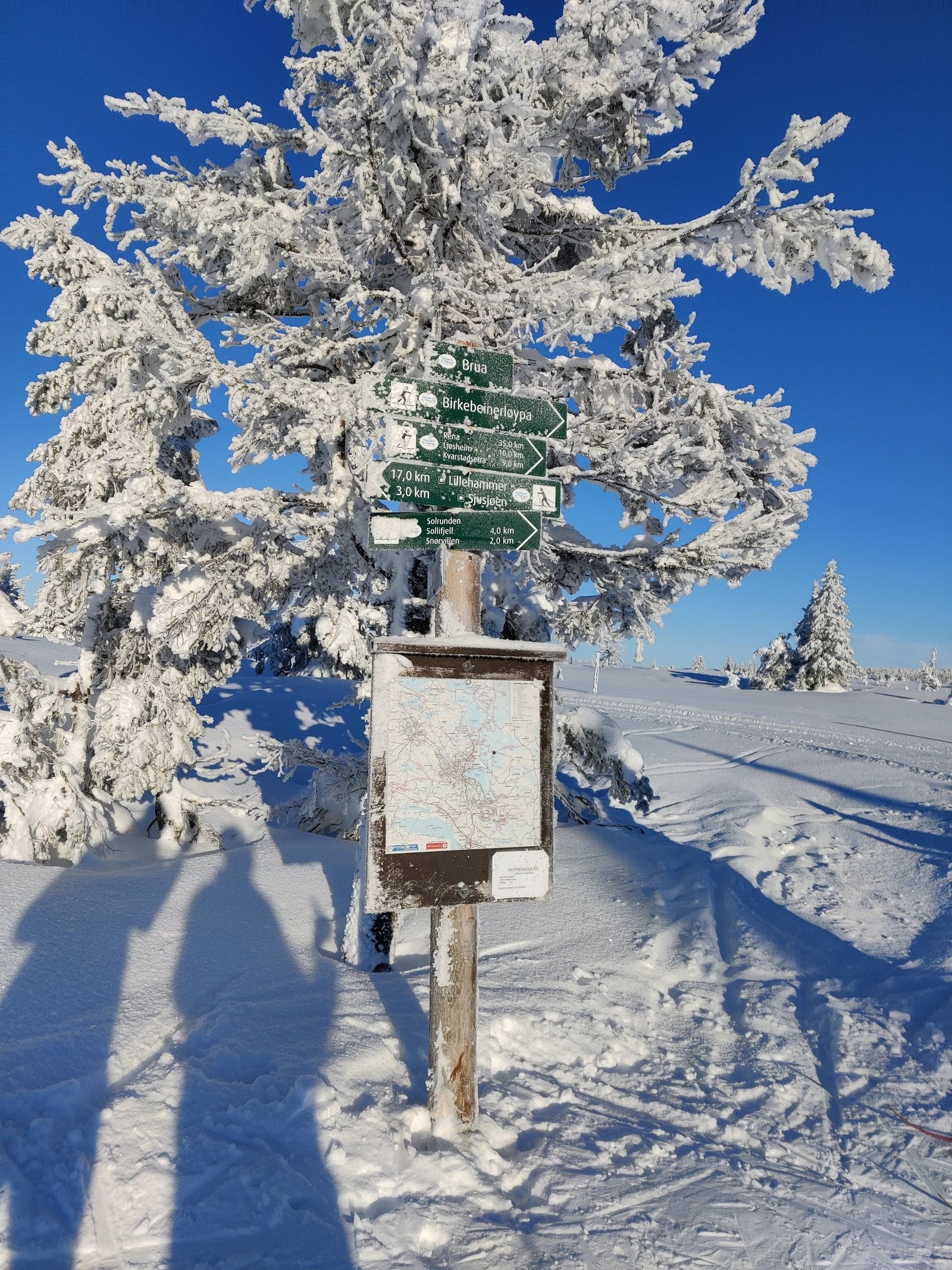 Med utgangspunkt i Sjusjøen kan du komme deg langt avgårde. Galleribilde