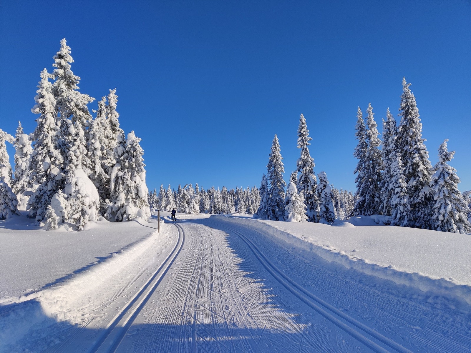 Sjusjøen er flere år på rad kåret til Norges langrennssted nr. 1, og mange mener Sjusjøen har verdens beste skiforhold. Galleribilde