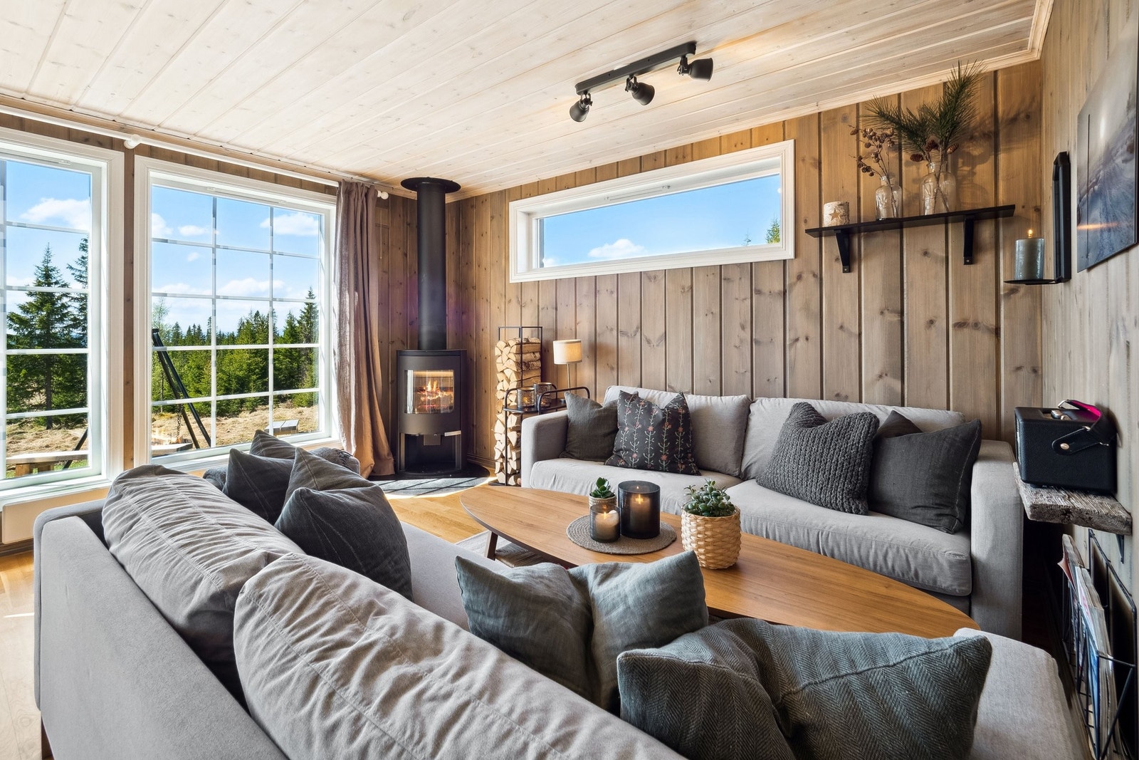 Slapp av i sofaen og hør peisen knitre. Galleribilde