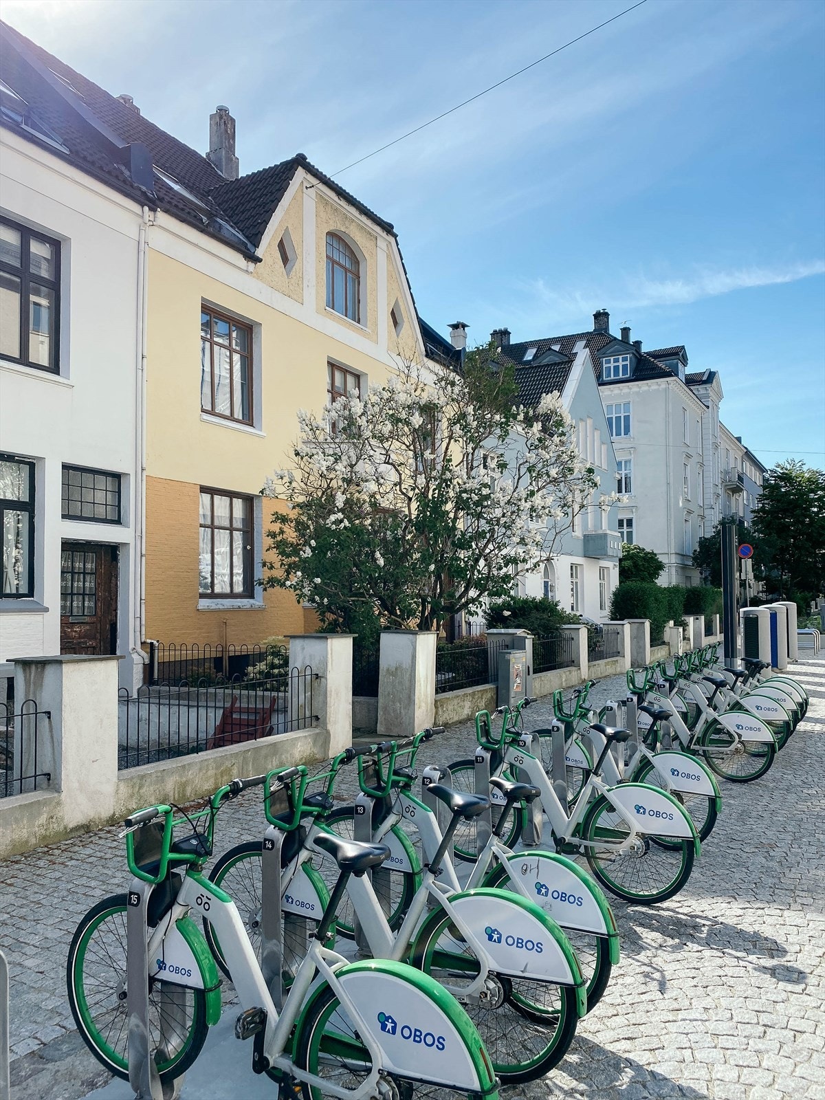 Her bor du midt i smørøyet, omgitt av en rekke fasiliteter og servicetilbud som bidrar til å gjøre hverdagen enkel og komfortabel. Galleribilde