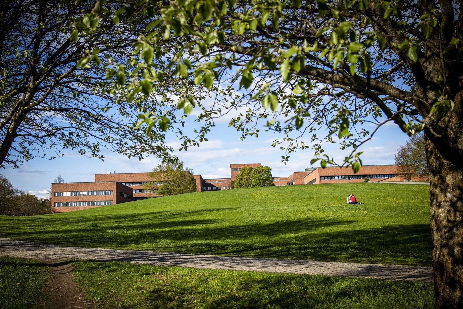 Nærområdet - Marienlyst park Galleribilde