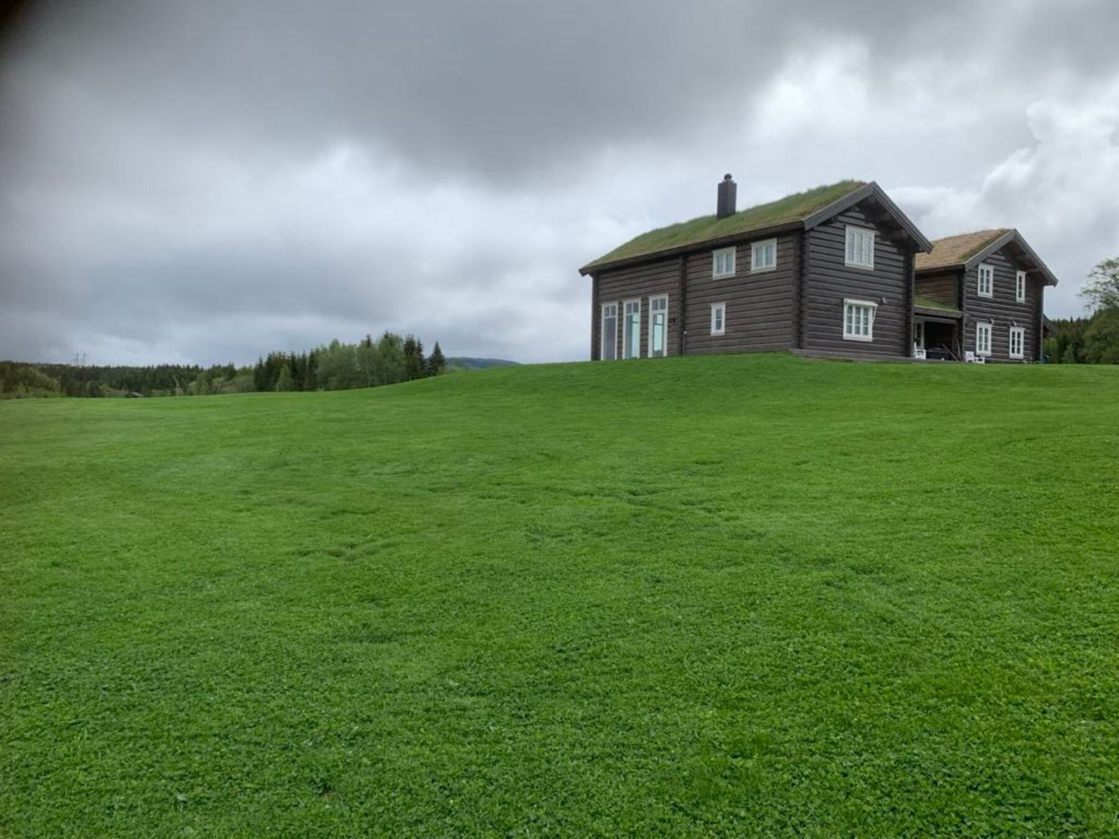 Bilde tatt av selger. Galleribilde