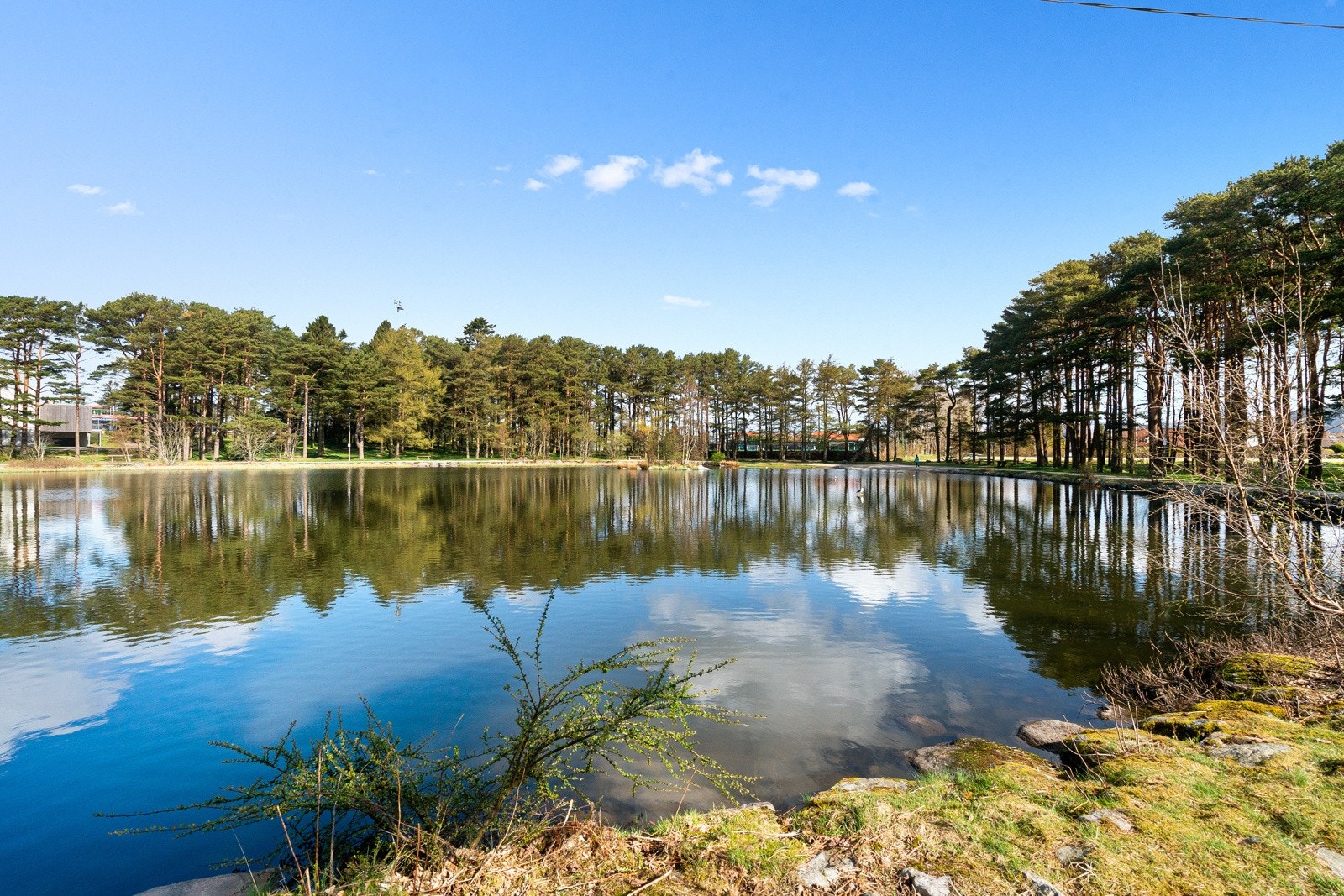 Gisketjern er like i nærheten Galleribilde