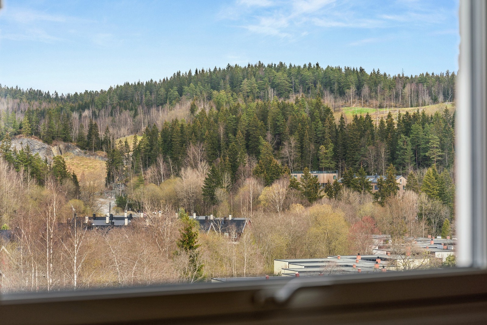 Flott utsikt utover marka Galleribilde