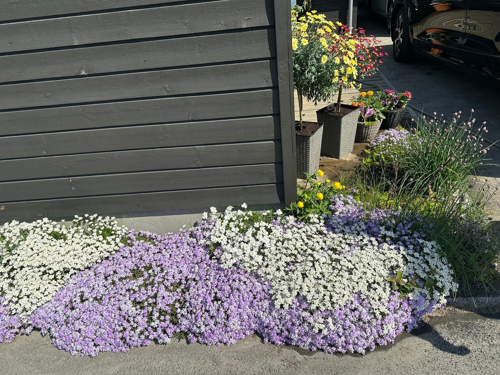 Sommeridyll (bilde tatt av selger) Galleribilde