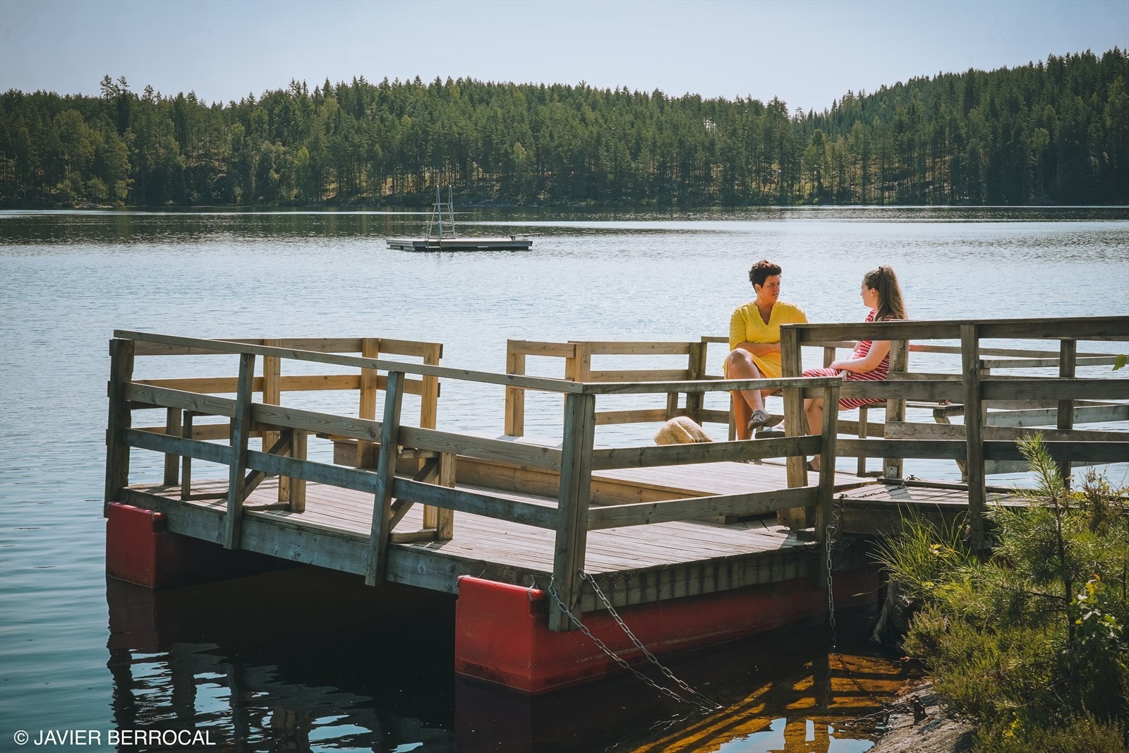 Røytjern - ca 2 km fra boligen Galleribilde