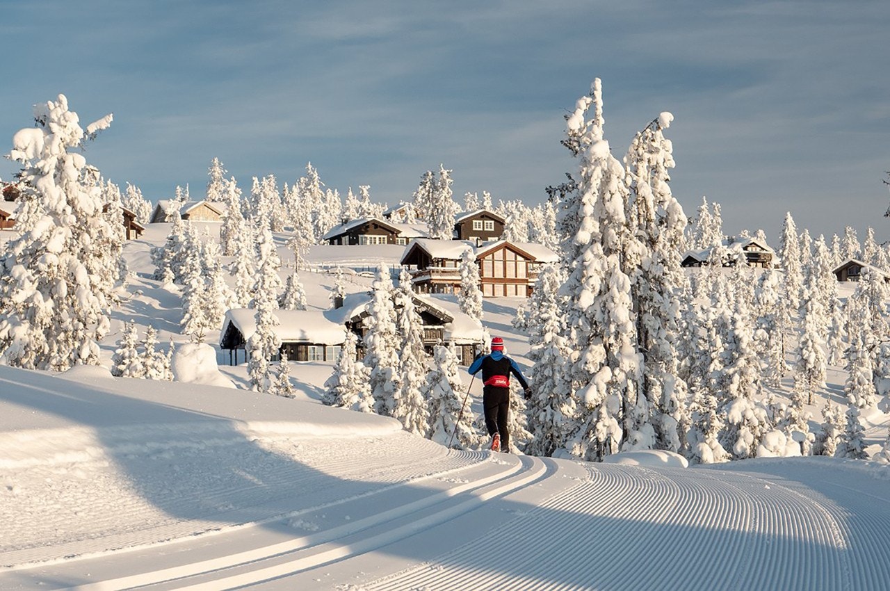 Med sin sentrale beliggenhet og sine snøsikre vintrer er Musdalsæter Hyttegrend populært. Galleribilde