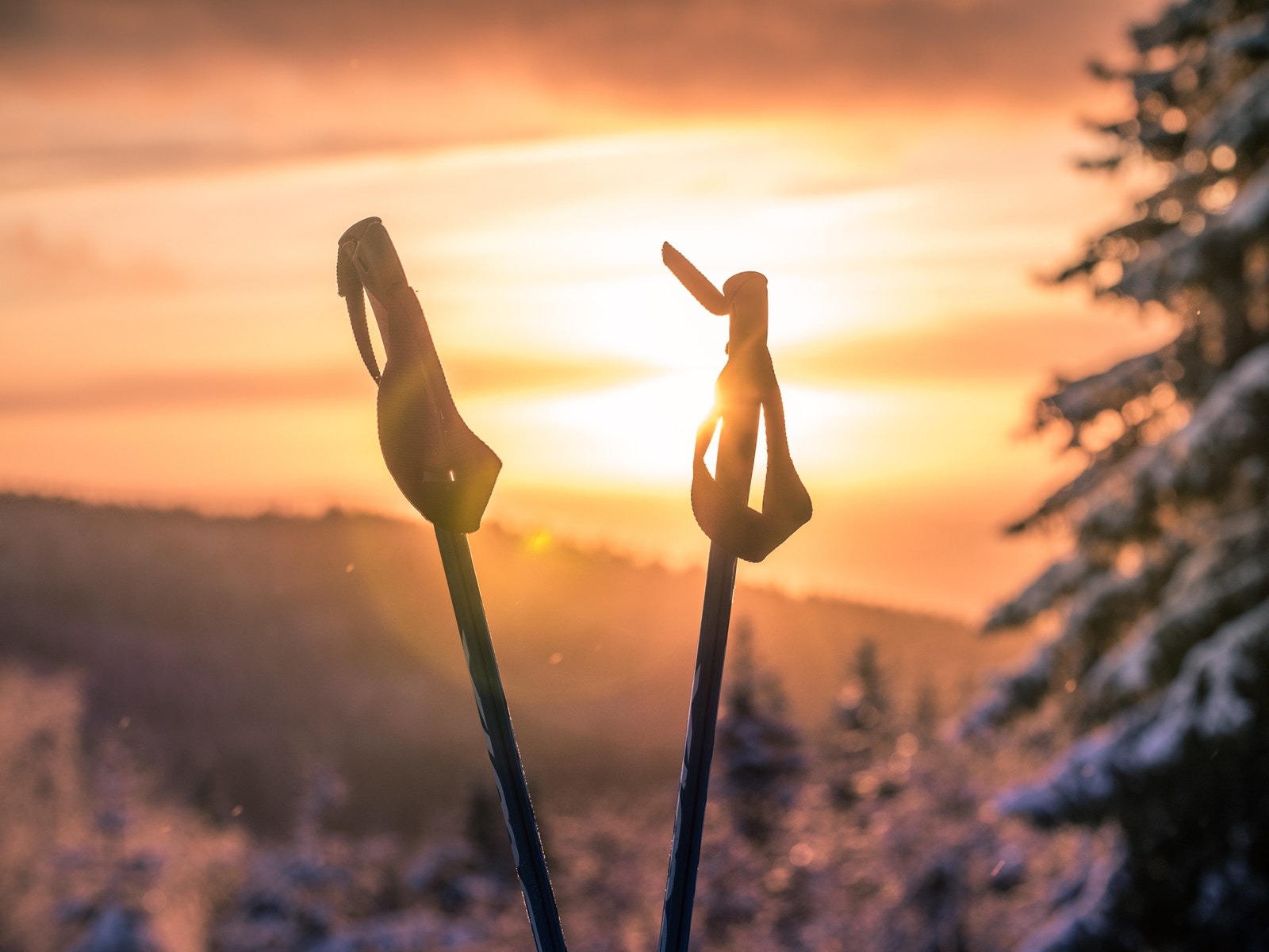 Nyt en aktiv dag i fine omgivelser. Galleribilde