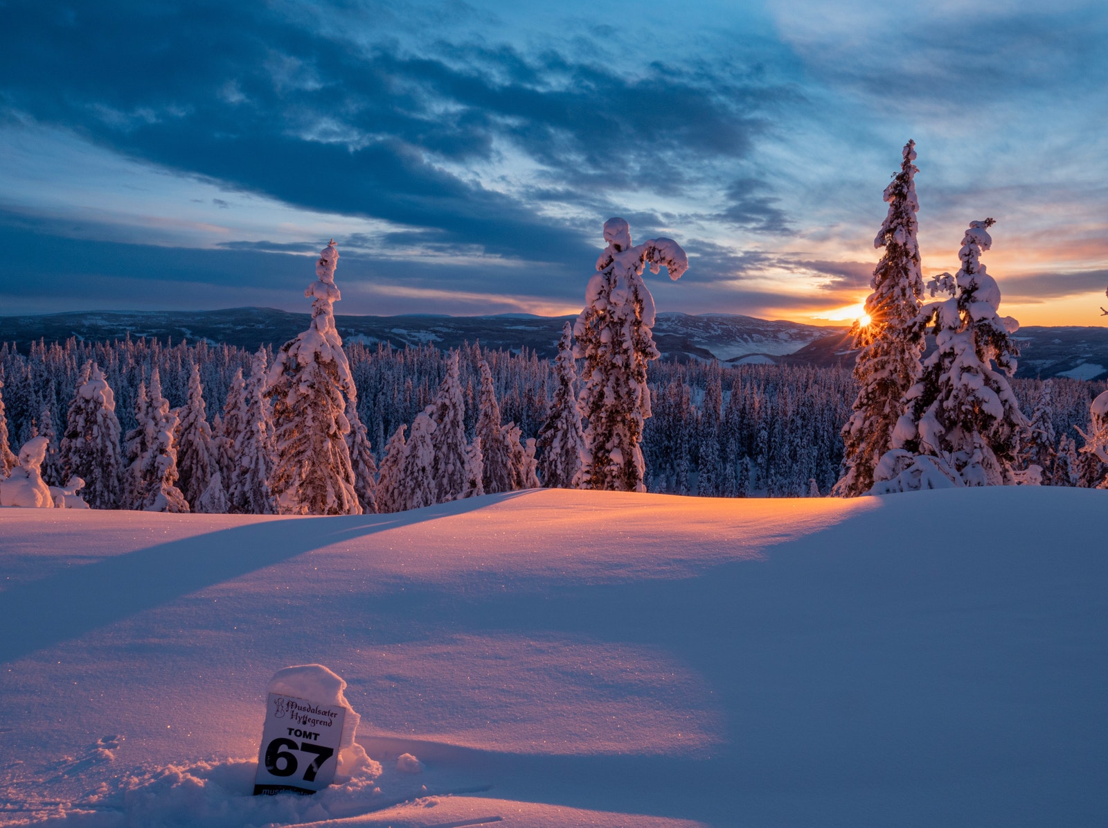 Tomtene har nydelig beliggenhet. Galleribilde