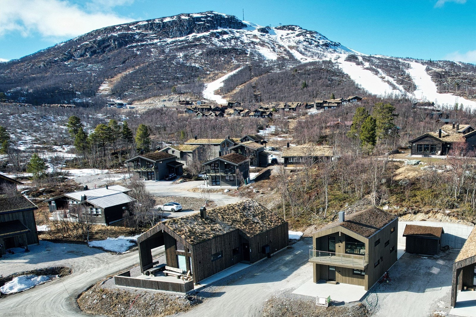 - Velkommen til Dyregrenda Sør 74 - Galleribilde