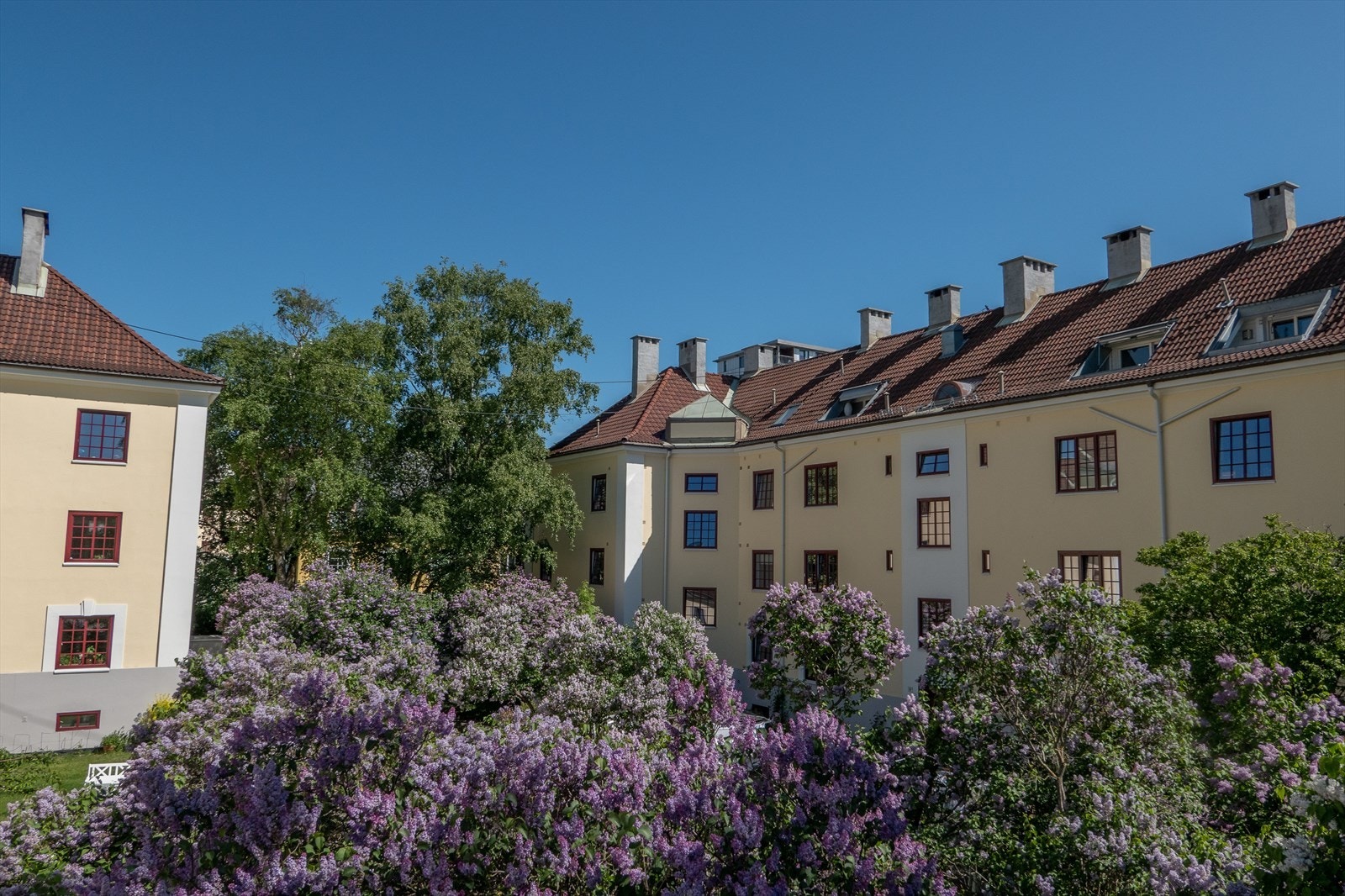I bakgården er det plantet syrintrær som gir en fantastisk harmoni hver gang man går ut. Galleribilde