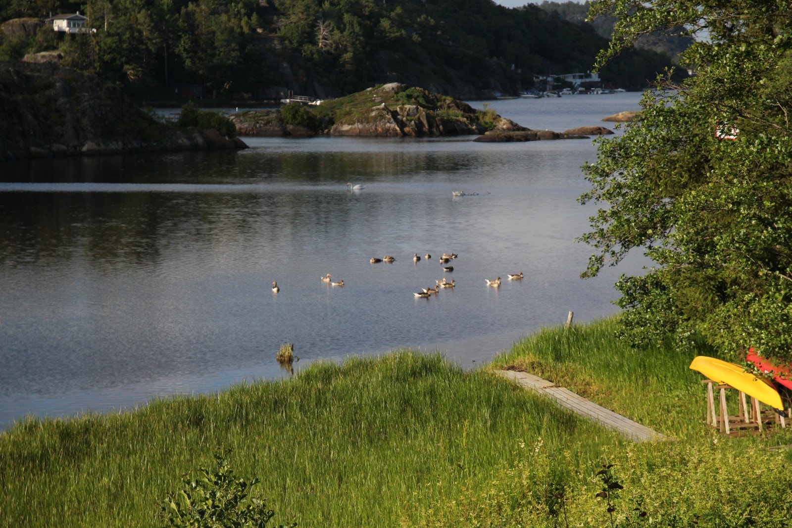 Selgers bilde Galleribilde