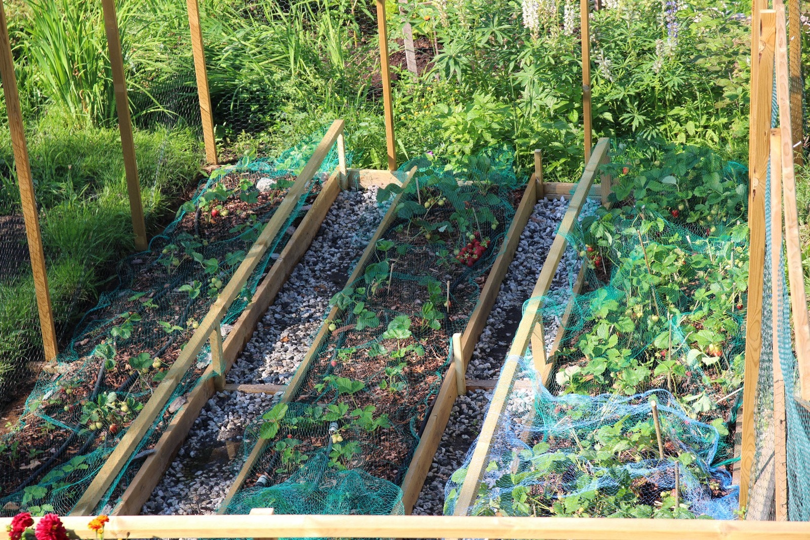 Selgers bilde Galleribilde