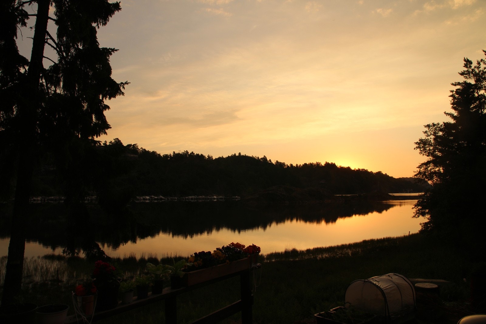 Selgers bilde Galleribilde