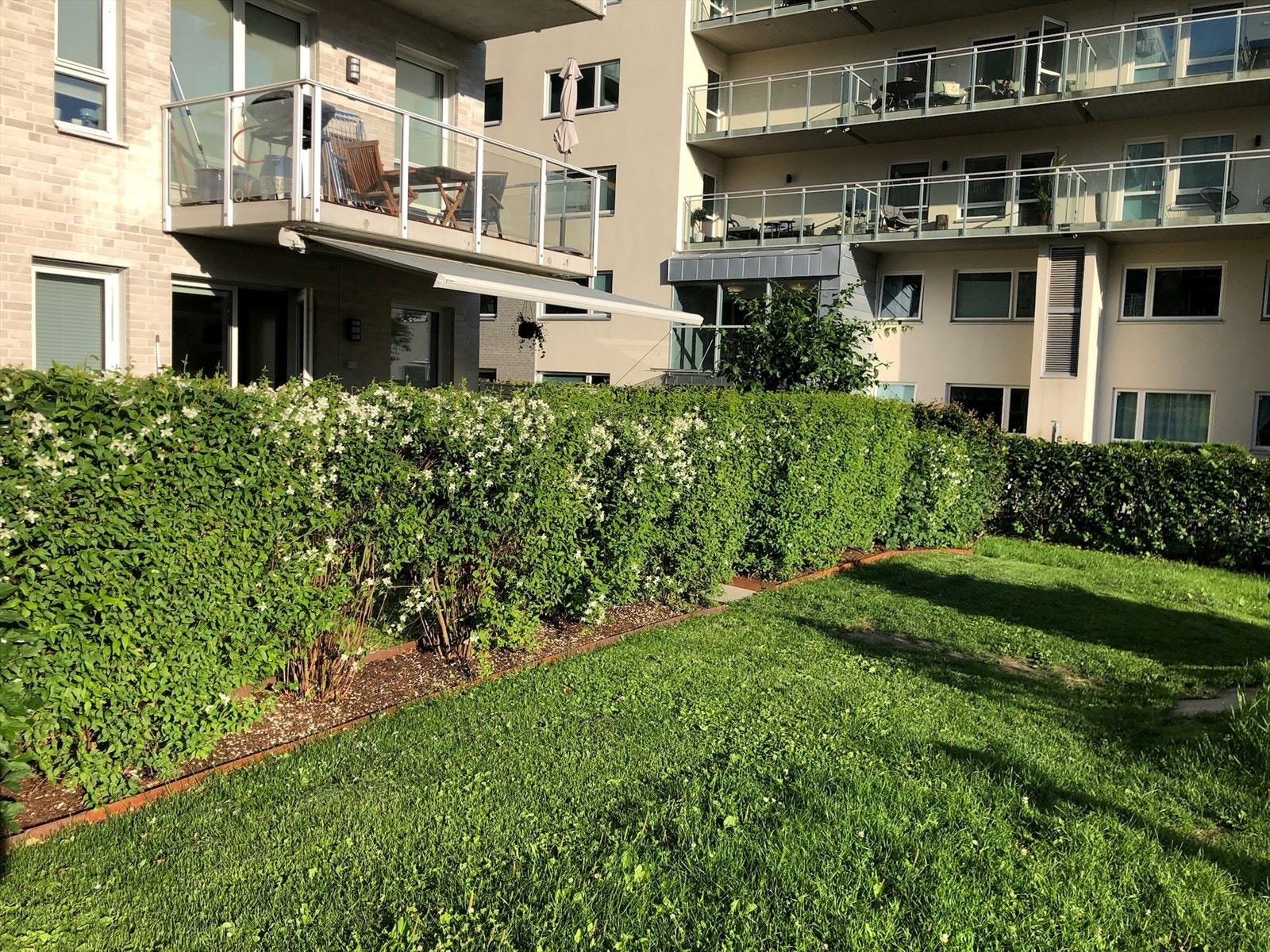 Selgers private bilder* Galleribilde