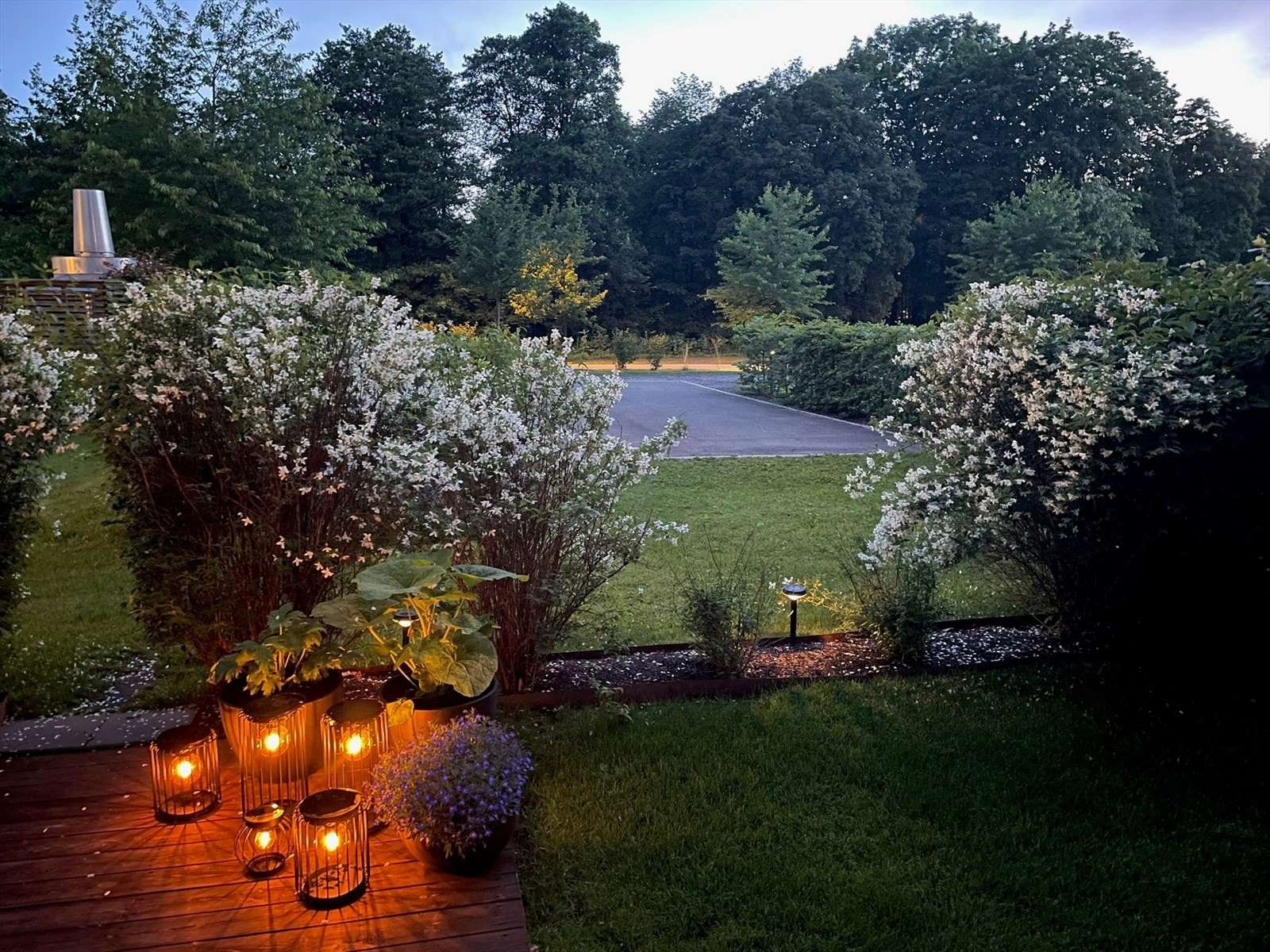 Selgers private bilder* Galleribilde