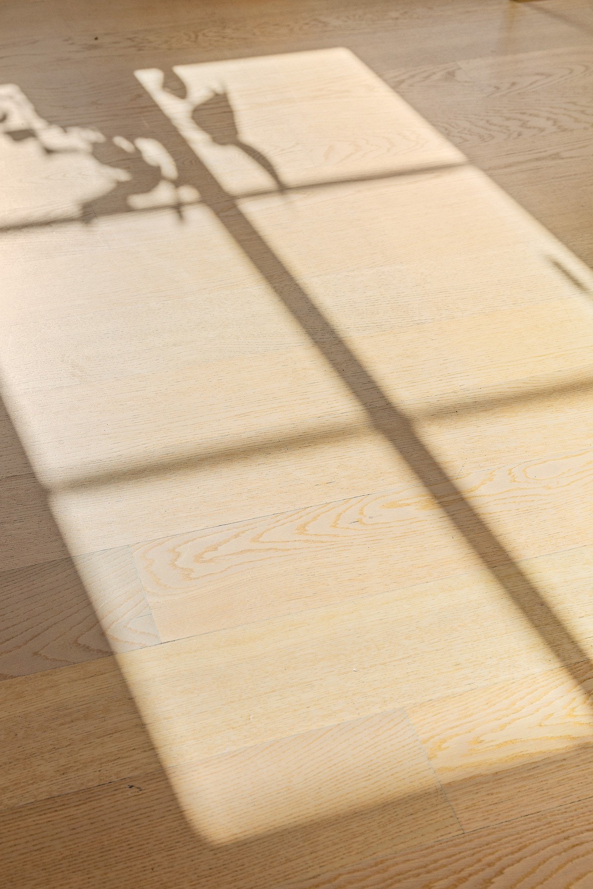 Detaljbilde - Gulv. Galleribilde