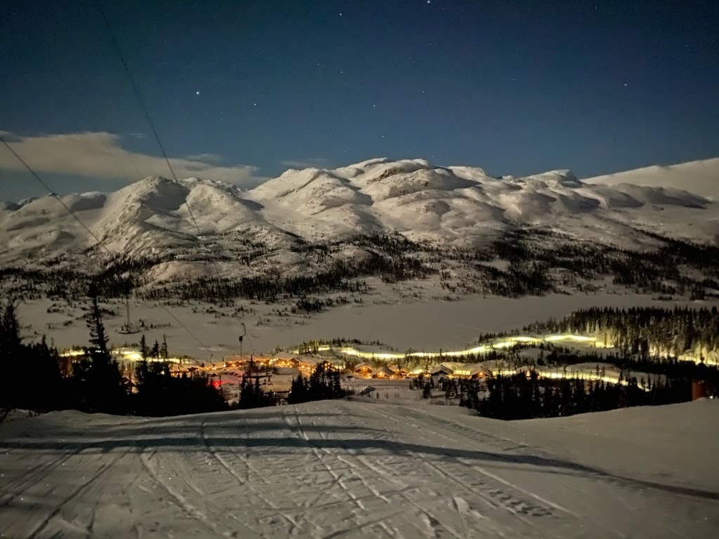 UTSIKT FRA TOMTEN Galleribilde