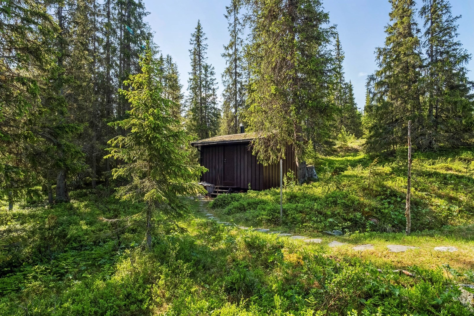 Frittstående uthus med utedo og bodrom med gode oppbevaringsmuligheter.
Strøm ble innlagt i 2016 og drikkevannsbrønn etablert i 2017. Galleribilde