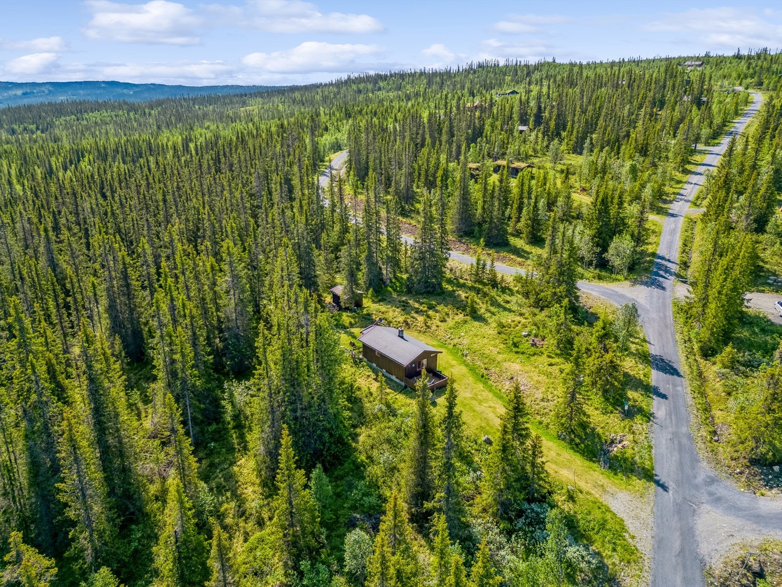 Velkommen til en hyggelig visning! Galleribilde