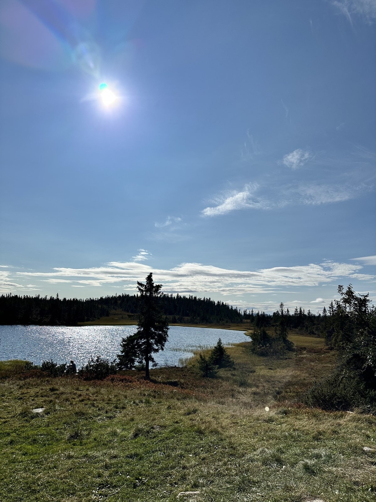 Området byr på en rekke turområdet sommer som vinter. Galleribilde