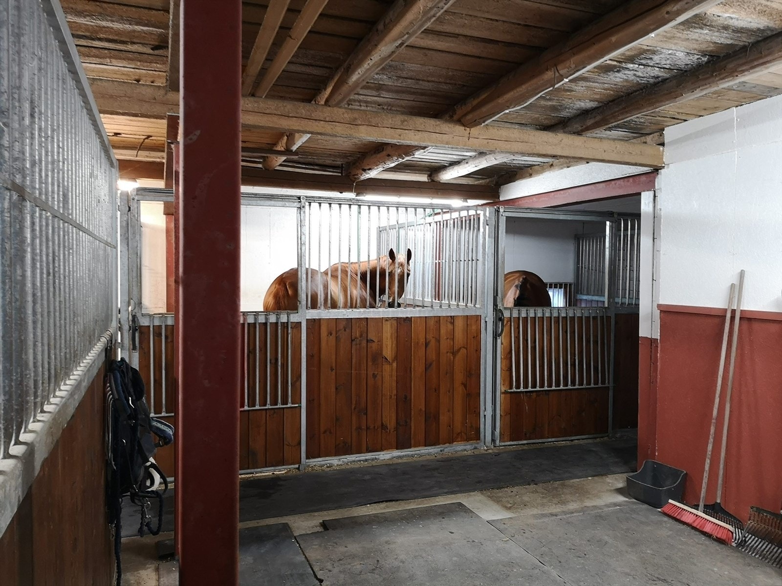 Her trives både 2- og 4 beinte. Galleribilde