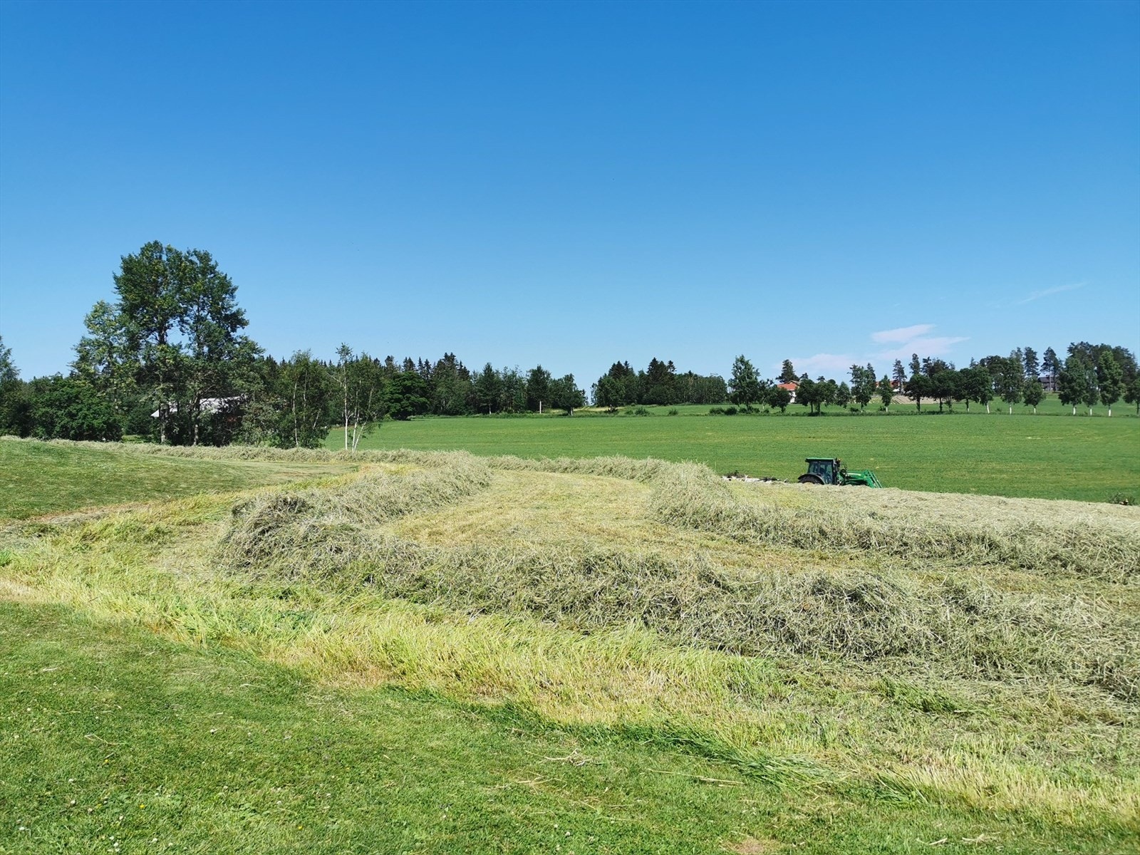 Her kan man være selvforsynt på høy. Galleribilde