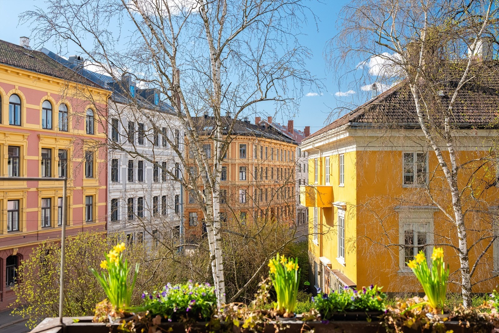 Utsikt fra balkongen. Galleribilde