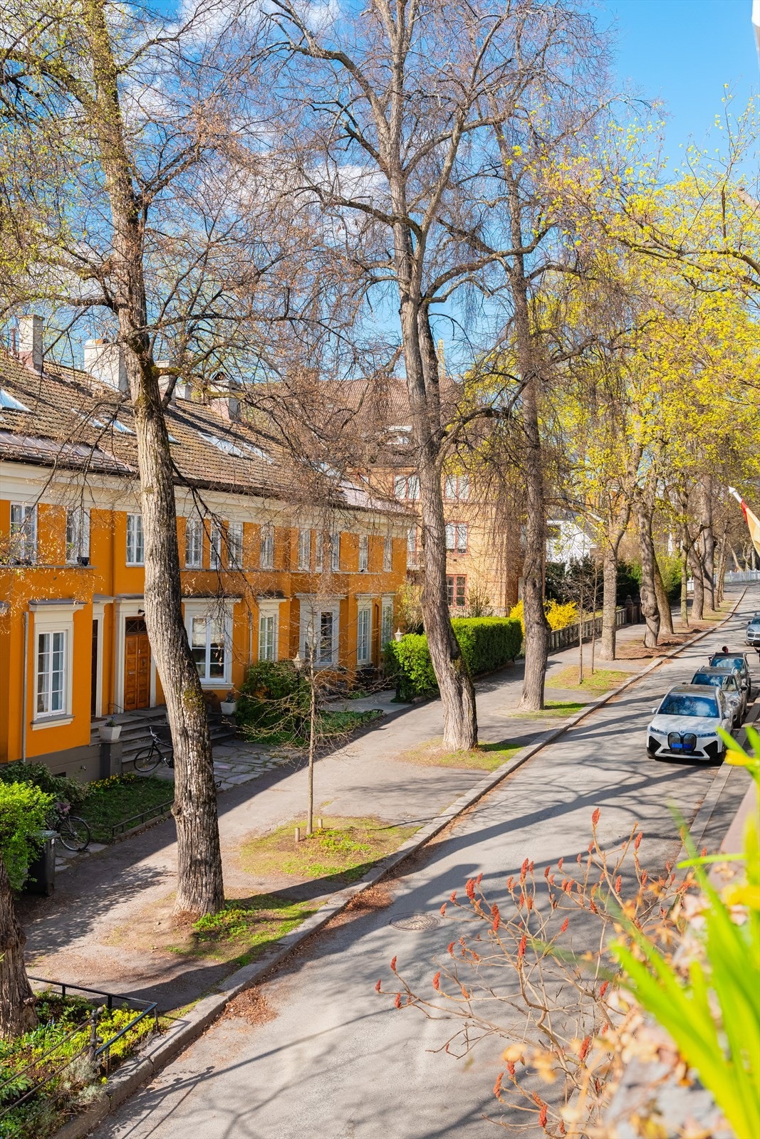 Her bor man i et av Frogners fineste nabolag. Galleribilde