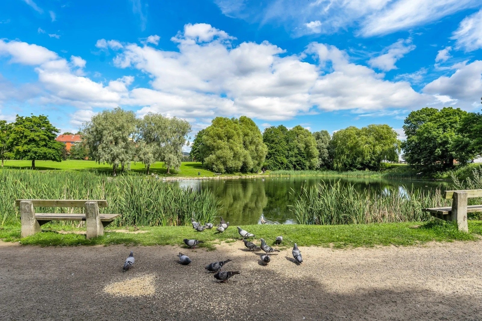 Gode turforbindelser i området, f.eks. ved Hovindammen, til Nordre Skøyen Hovedgård, Østensjøvannet, Alnaelva, Svartdalsparken m.m. Galleribilde