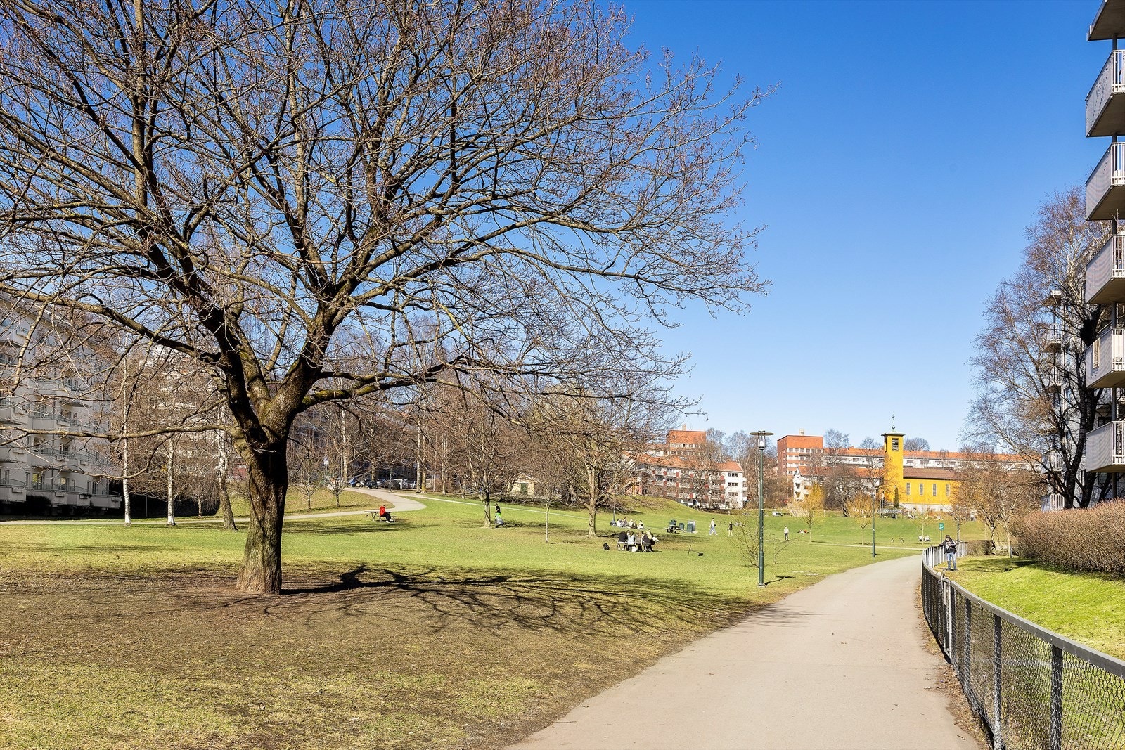 Omradebilde Galleribilde