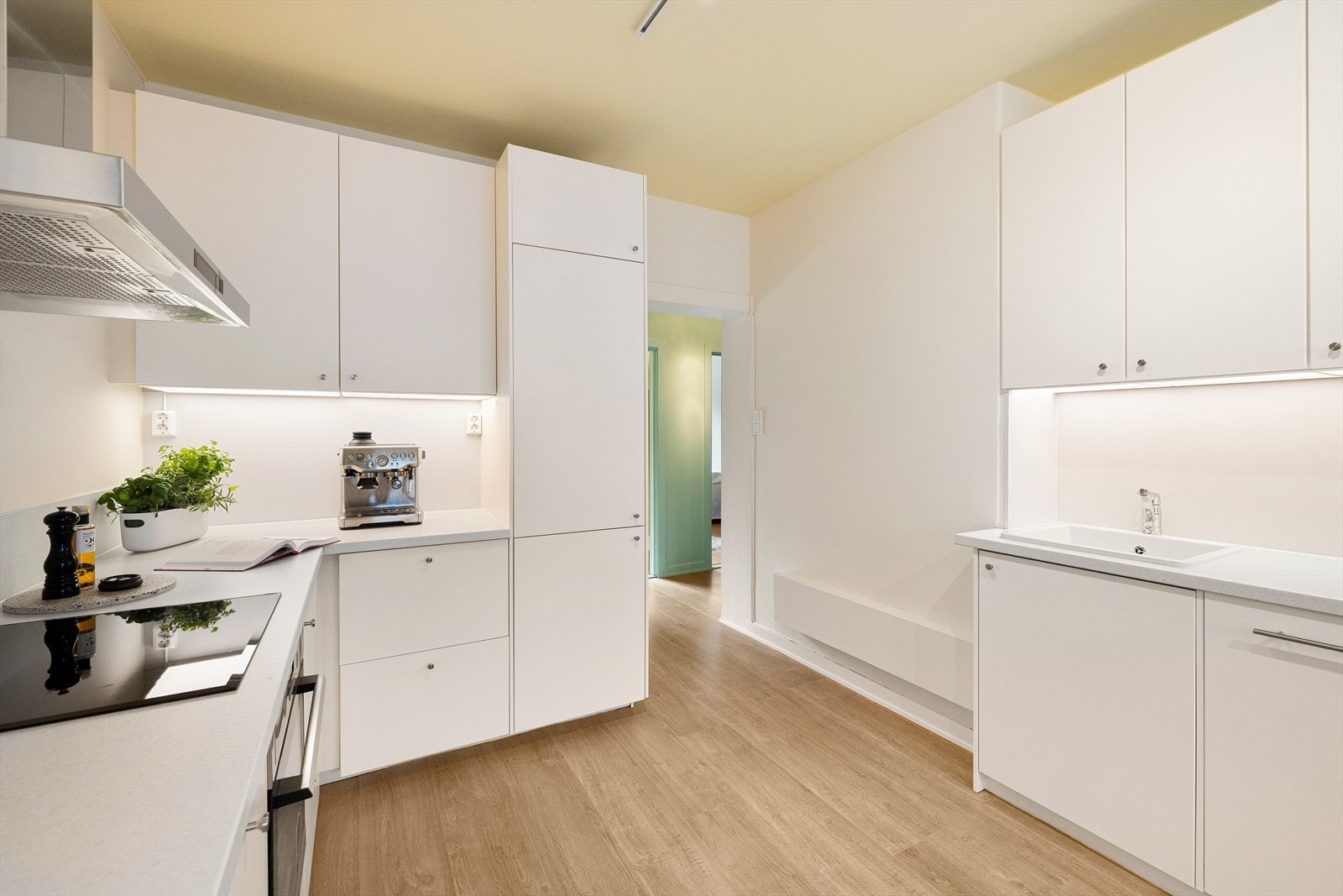 - Det er integrert kjøl/fryseskap, oppvaskmaskin, induksjonstopp og stekeovn. Vannstoppsystem og komfyrvakt - Galleribilde