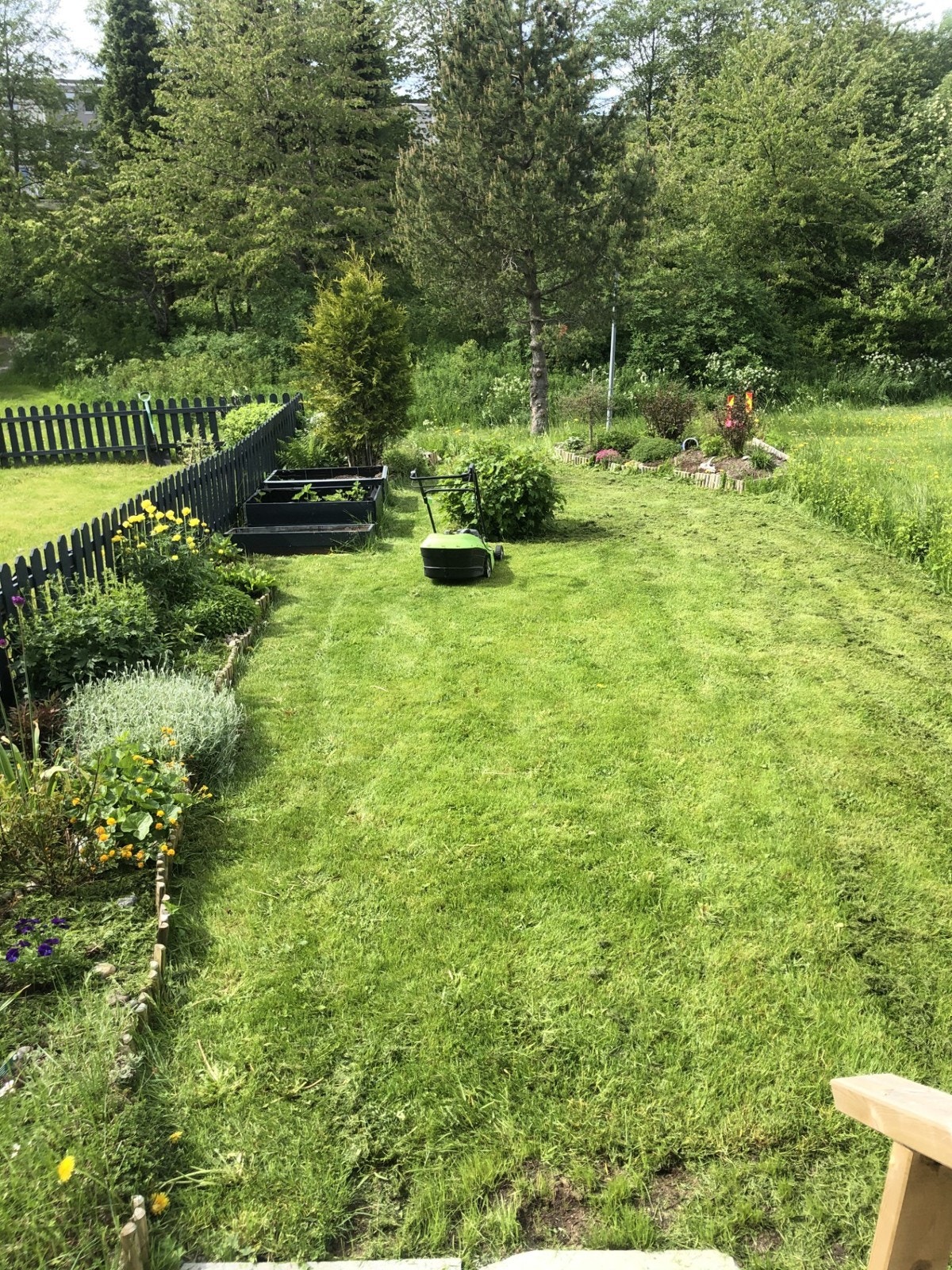 Selgers private bilder. Frodig og fin hage. Galleribilde
