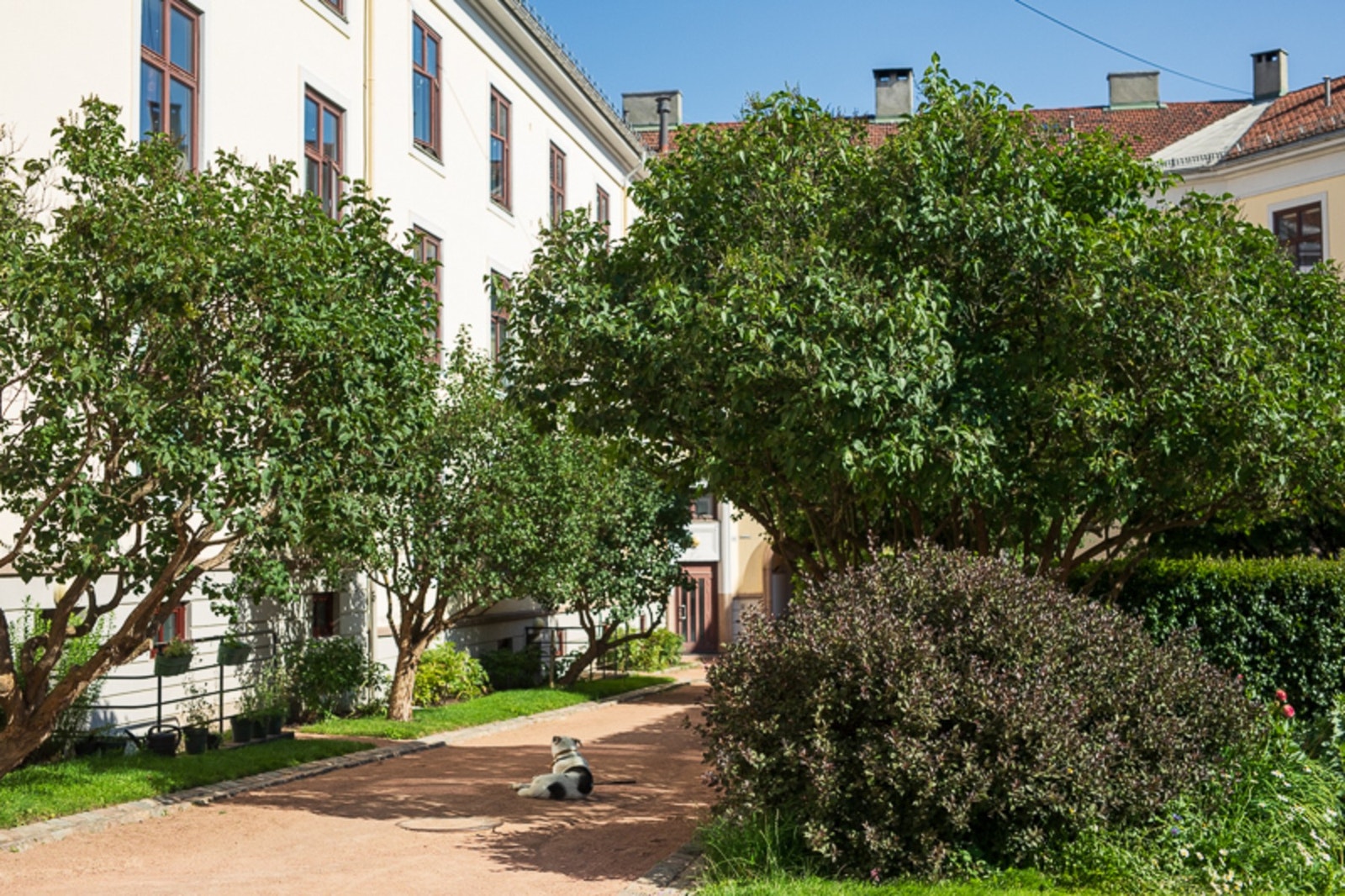 Leiligheten har en attraktivt og tilbaketrukket beliggenhet i velholdte omgivelser. Galleribilde