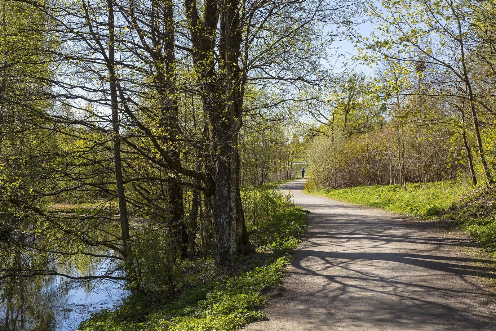 Fine tumuligheter langs Østensjøvannet, et vakkert naturreservat med rikt fugleliv og en 4,5 km lang tursti som kan forlenges inn i Østmarka. Galleribilde