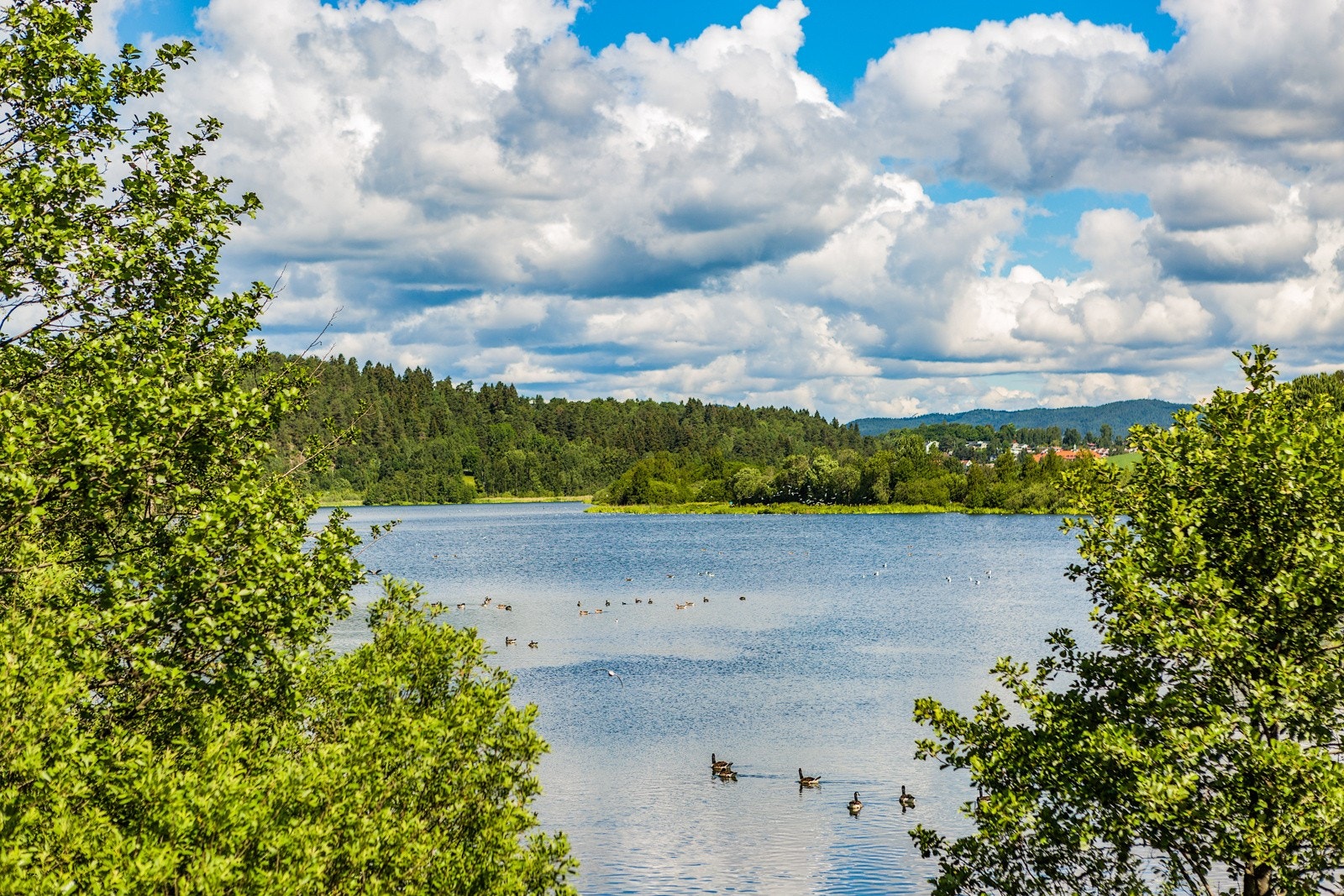 For koselige søndagsturer anbefales Østensjøvannet som ligger i nærområdet, med et unikt fugleliv med over 200 forskjellige fuglearter. Galleribilde
