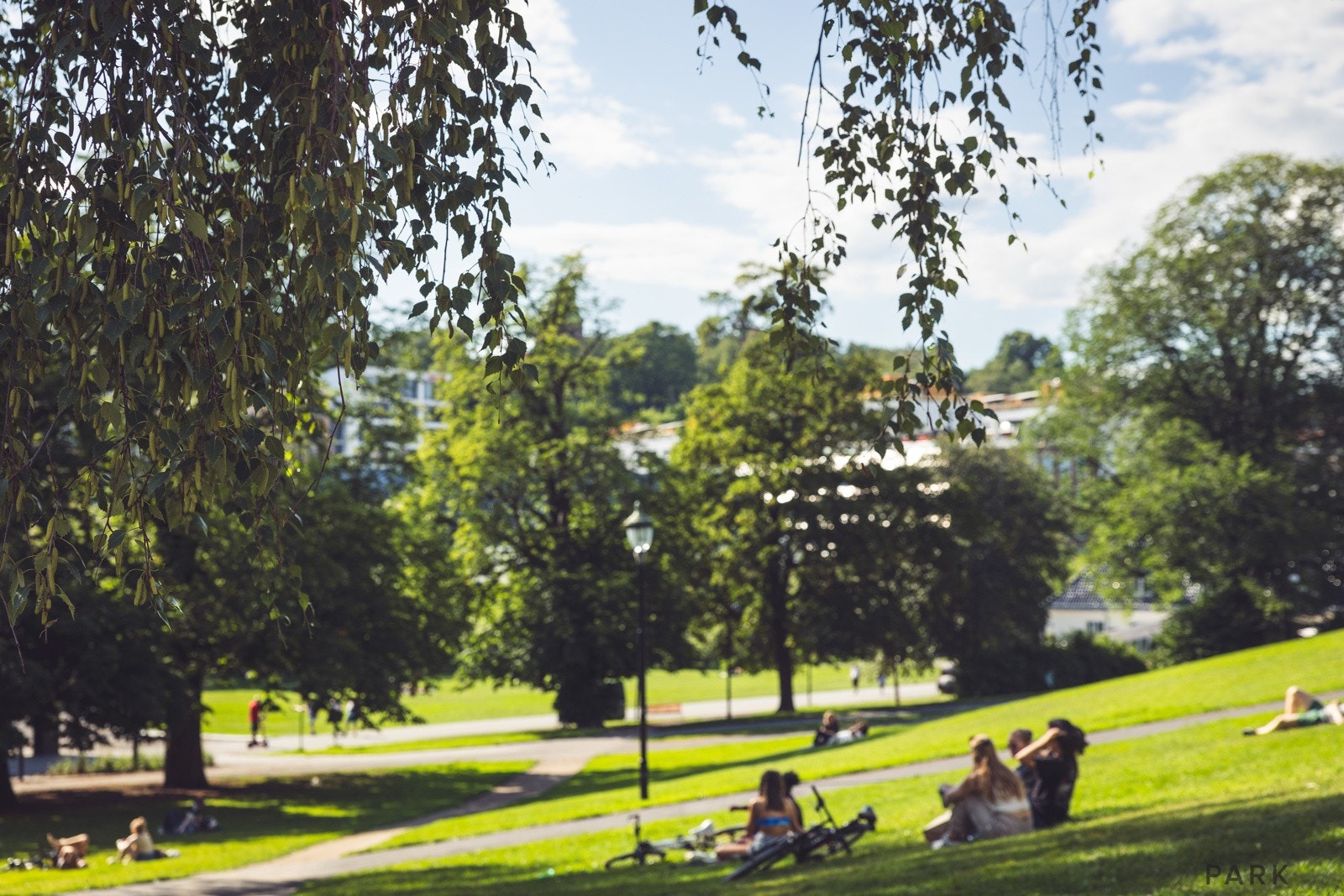 Nærområdet byr på flotte park- og grøntområder som for eksempel Birkelunden, Botanisk hage og Sofienbergparken. Galleribilde