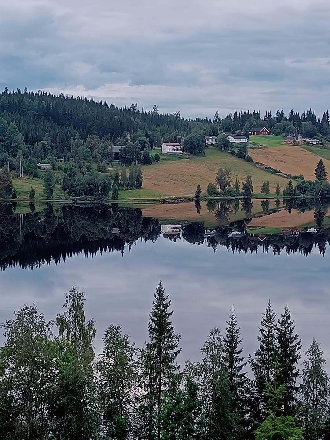 Vakkert skue i idyllisk natur. Galleribilde