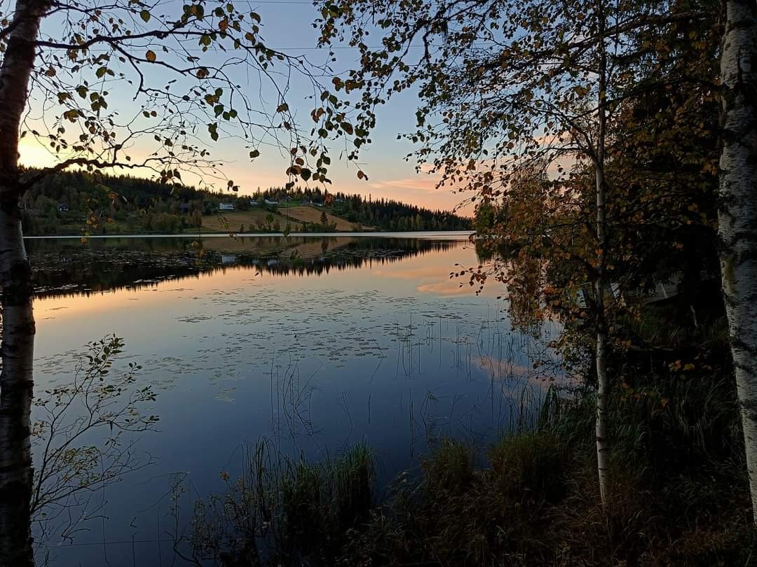 Når mørket faller på. Galleribilde