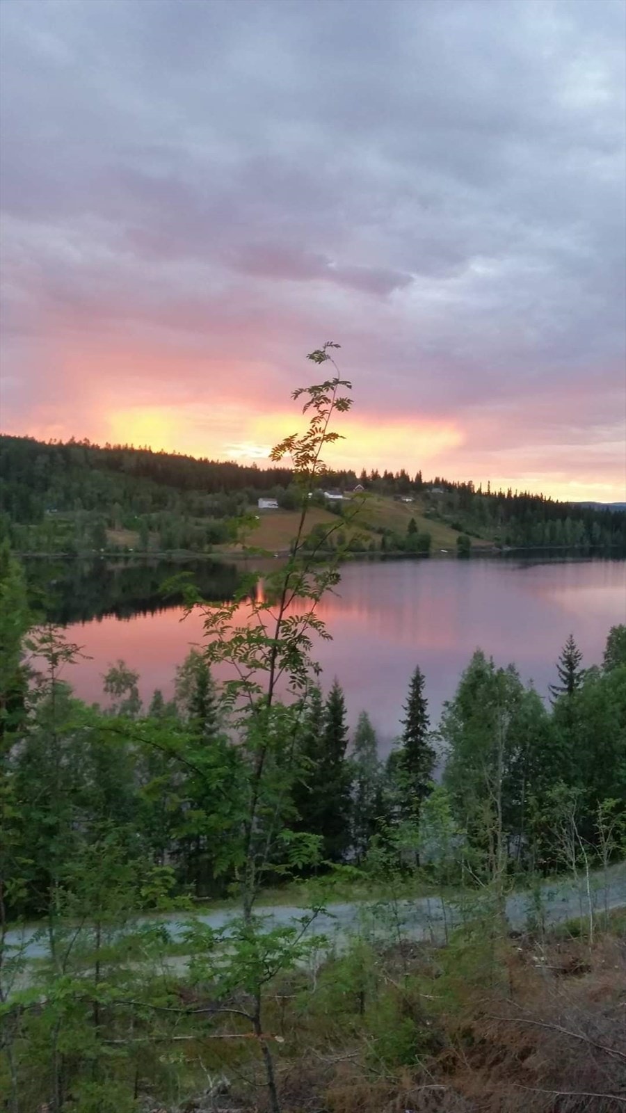 Solnedgang. Galleribilde