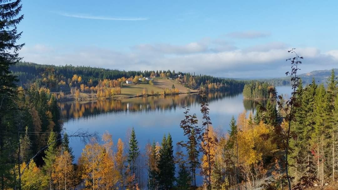 Stemning høst. Galleribilde